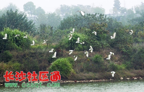 huangj14101374.JPG
